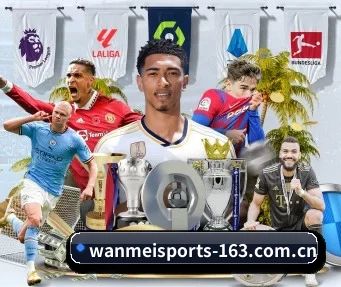 完美体育 APP（WANMEI SPORTS）